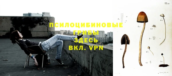ALPHA PVP Волоколамск